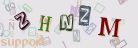 This is a captcha-picture. It is used to prevent mass-access by robots. (see: www.captcha.net)